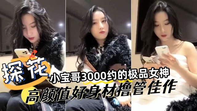 探花精选小宝哥3000网约极品女神高颜值好身材撸管佳作 — 2026